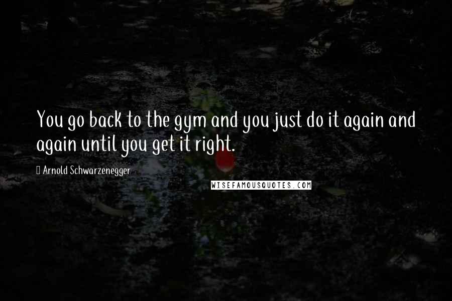 Arnold Schwarzenegger Quotes: You go back to the gym and you just do it again and again until you get it right.