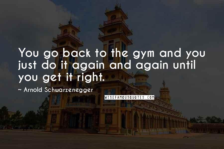 Arnold Schwarzenegger Quotes: You go back to the gym and you just do it again and again until you get it right.