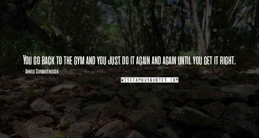 Arnold Schwarzenegger Quotes: You go back to the gym and you just do it again and again until you get it right.