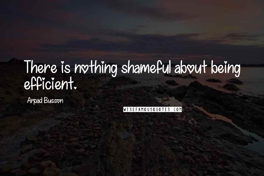 Arpad Busson Quotes: There is nothing shameful about being efficient.