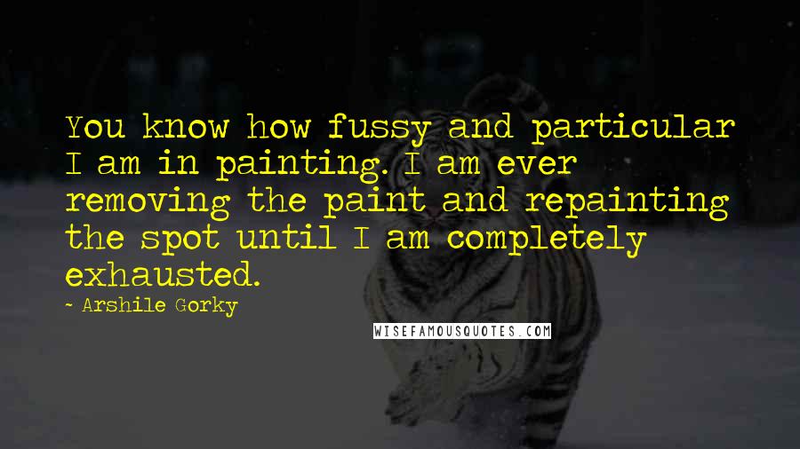 Arshile Gorky Quotes: You know how fussy and particular I am in painting. I am ever removing the paint and repainting the spot until I am completely exhausted.