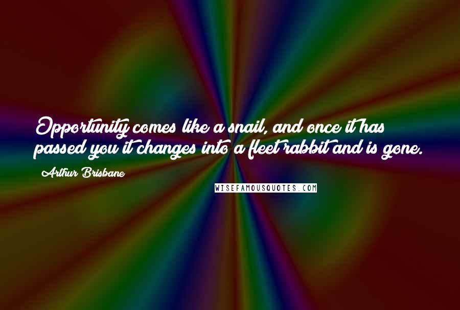Arthur Brisbane Quotes: Opportunity comes like a snail, and once it has passed you it changes into a fleet rabbit and is gone.