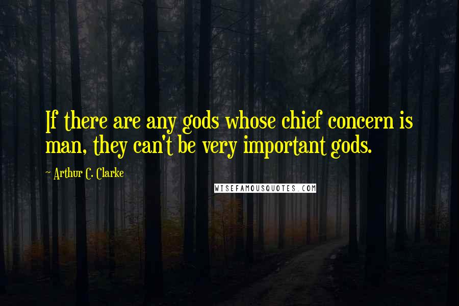 Arthur C. Clarke Quotes: If there are any gods whose chief concern is man, they can't be very important gods.