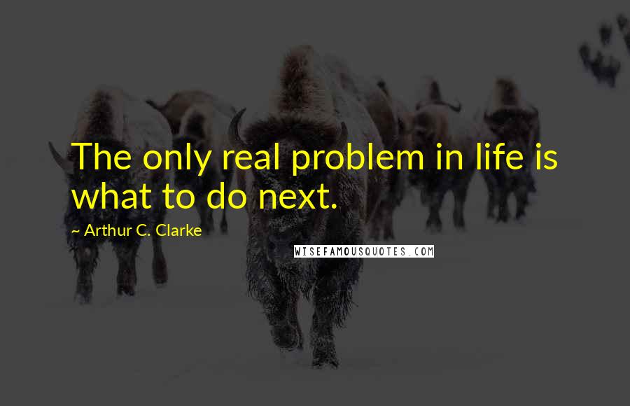 Arthur C. Clarke Quotes: The only real problem in life is what to do next.