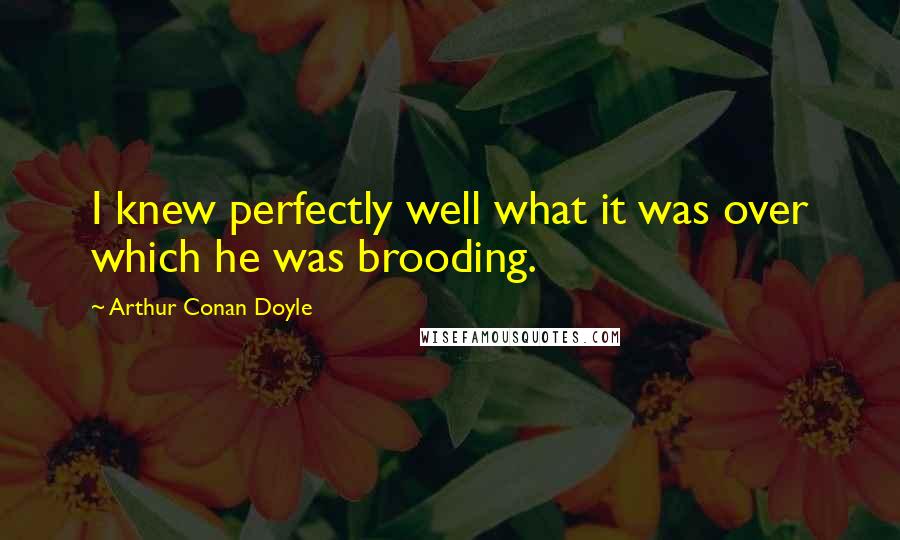 Arthur Conan Doyle Quotes: I knew perfectly well what it was over which he was brooding.