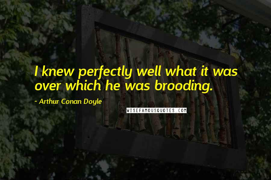 Arthur Conan Doyle Quotes: I knew perfectly well what it was over which he was brooding.