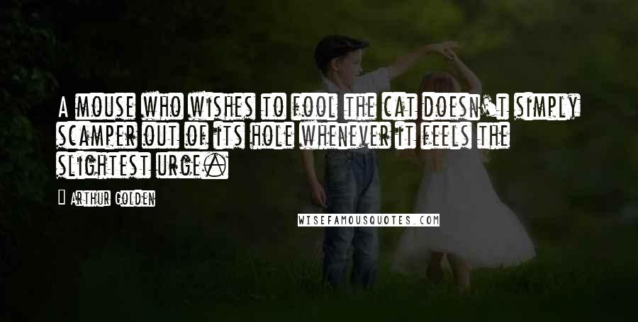 Arthur Golden Quotes: A mouse who wishes to fool the cat doesn't simply scamper out of its hole whenever it feels the slightest urge.