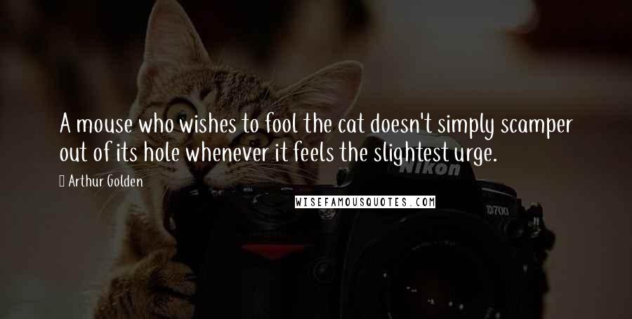 Arthur Golden Quotes: A mouse who wishes to fool the cat doesn't simply scamper out of its hole whenever it feels the slightest urge.