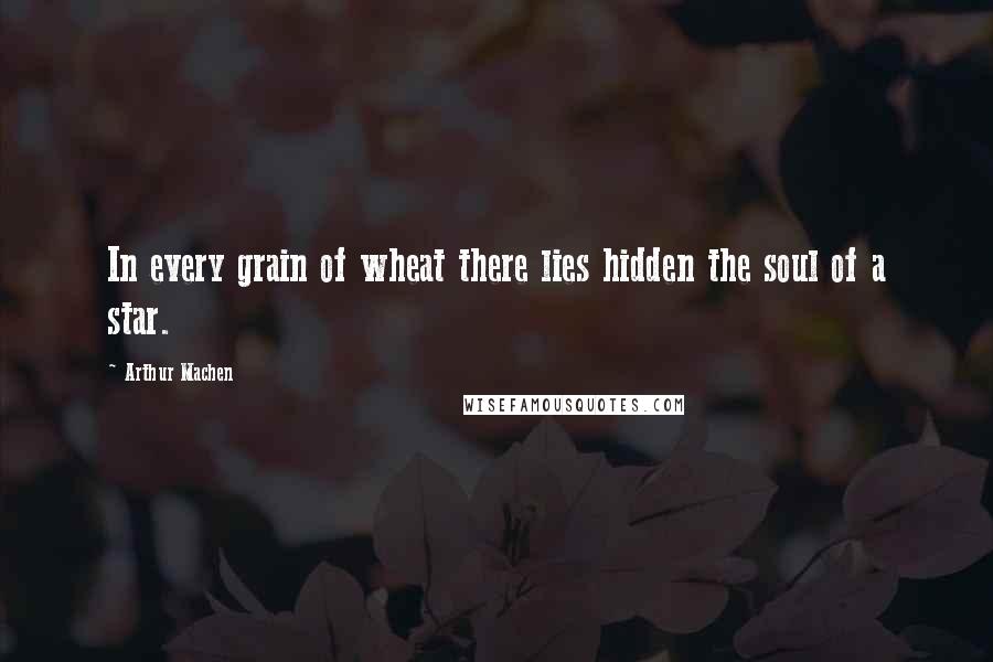 Arthur Machen Quotes: In every grain of wheat there lies hidden the soul of a star.