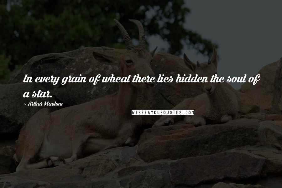 Arthur Machen Quotes: In every grain of wheat there lies hidden the soul of a star.