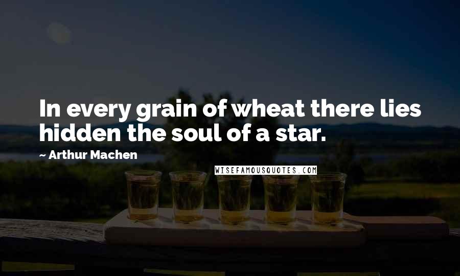 Arthur Machen Quotes: In every grain of wheat there lies hidden the soul of a star.