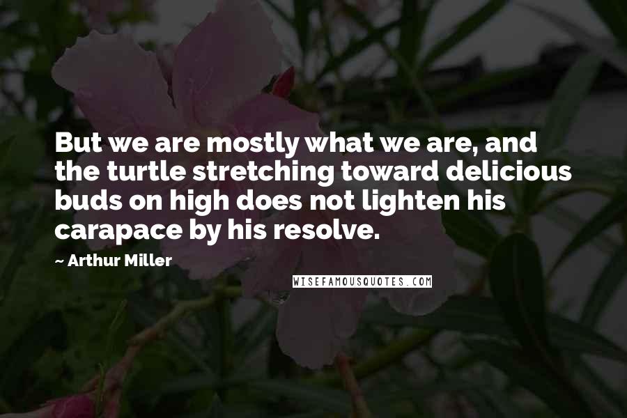 Arthur Miller Quotes: But we are mostly what we are, and the turtle stretching toward delicious buds on high does not lighten his carapace by his resolve.