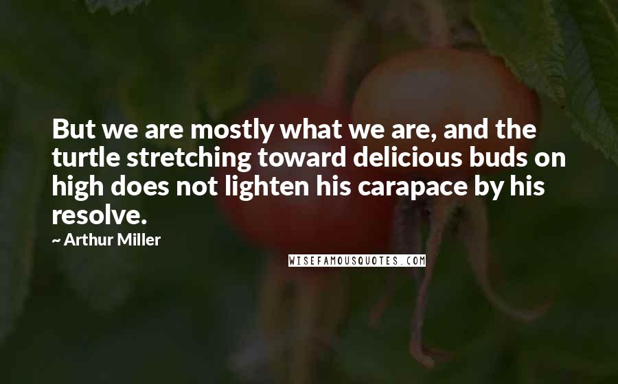 Arthur Miller Quotes: But we are mostly what we are, and the turtle stretching toward delicious buds on high does not lighten his carapace by his resolve.