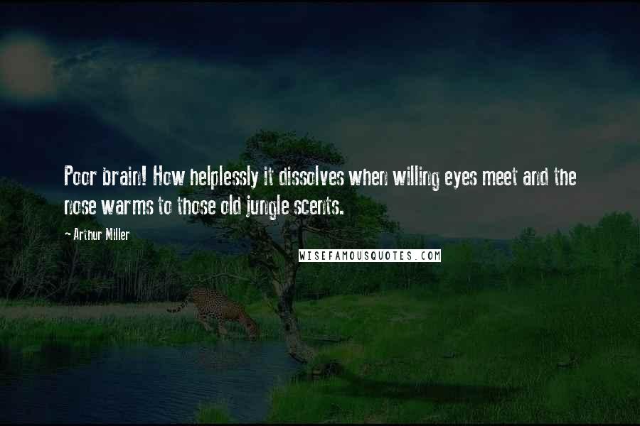 Arthur Miller Quotes: Poor brain! How helplessly it dissolves when willing eyes meet and the nose warms to those old jungle scents.