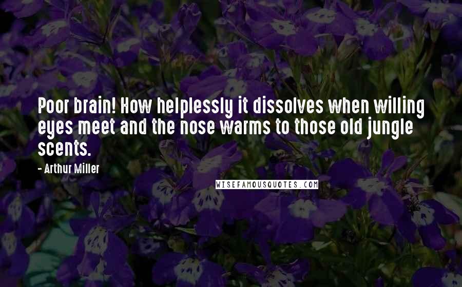 Arthur Miller Quotes: Poor brain! How helplessly it dissolves when willing eyes meet and the nose warms to those old jungle scents.