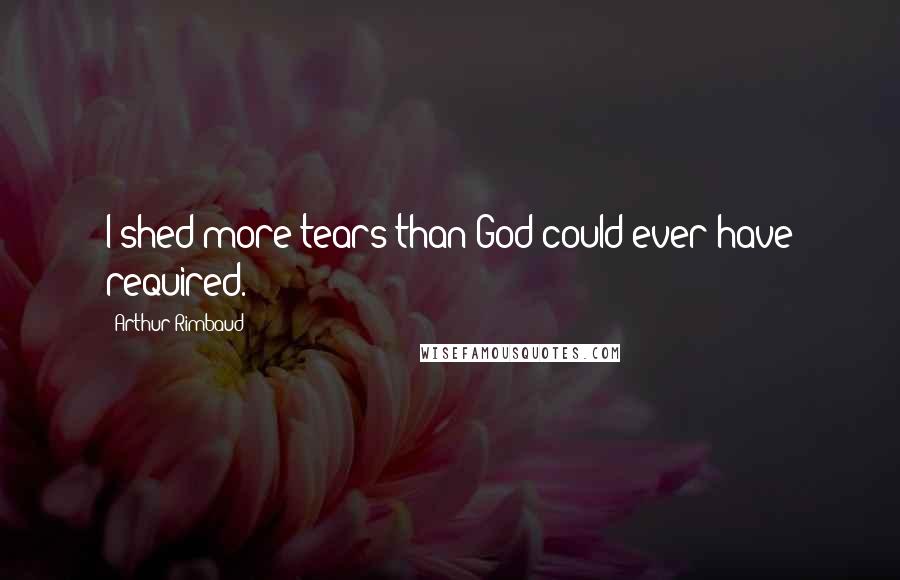 Arthur Rimbaud Quotes: I shed more tears than God could ever have required.