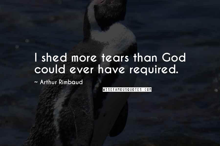 Arthur Rimbaud Quotes: I shed more tears than God could ever have required.