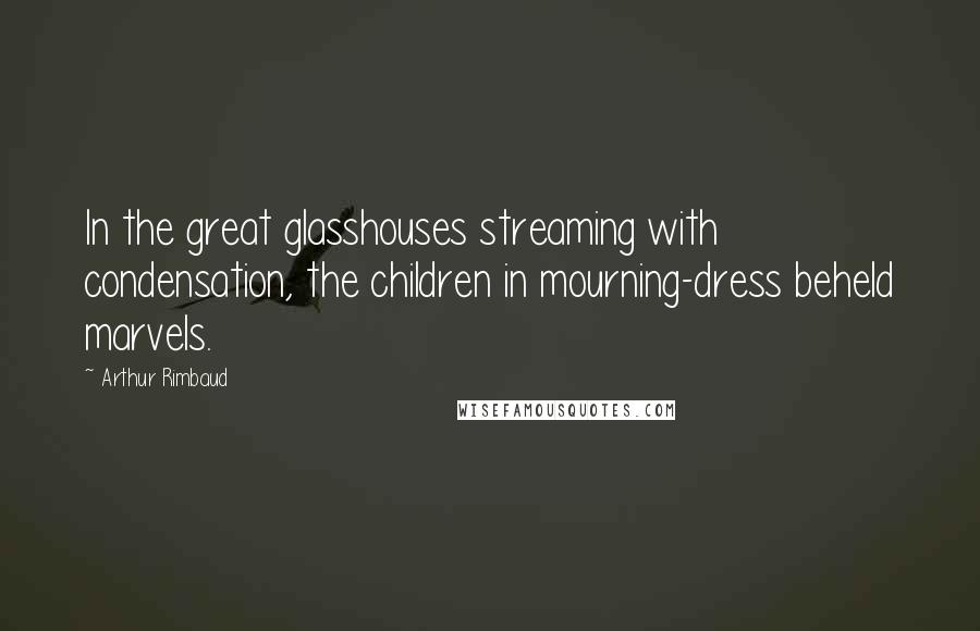 Arthur Rimbaud Quotes: In the great glasshouses streaming with condensation, the children in mourning-dress beheld marvels.