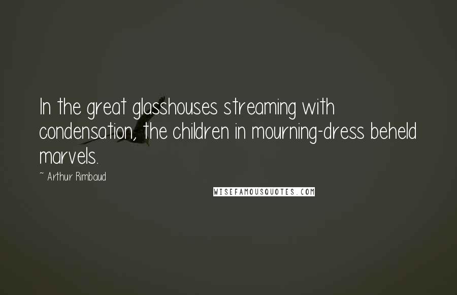 Arthur Rimbaud Quotes: In the great glasshouses streaming with condensation, the children in mourning-dress beheld marvels.