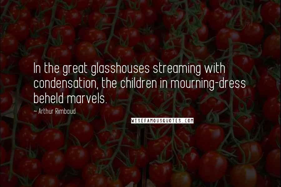 Arthur Rimbaud Quotes: In the great glasshouses streaming with condensation, the children in mourning-dress beheld marvels.