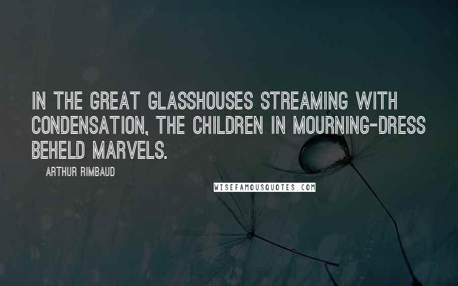 Arthur Rimbaud Quotes: In the great glasshouses streaming with condensation, the children in mourning-dress beheld marvels.