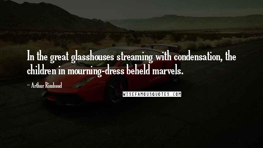 Arthur Rimbaud Quotes: In the great glasshouses streaming with condensation, the children in mourning-dress beheld marvels.