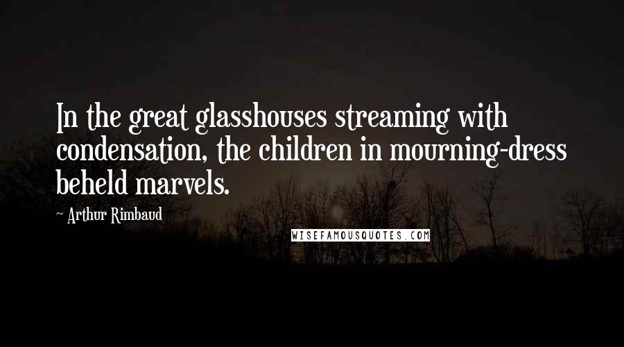 Arthur Rimbaud Quotes: In the great glasshouses streaming with condensation, the children in mourning-dress beheld marvels.