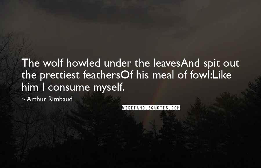 Arthur Rimbaud Quotes: The wolf howled under the leavesAnd spit out the prettiest feathersOf his meal of fowl:Like him I consume myself.