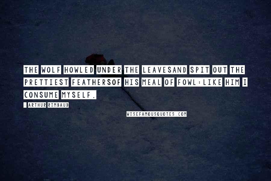 Arthur Rimbaud Quotes: The wolf howled under the leavesAnd spit out the prettiest feathersOf his meal of fowl:Like him I consume myself.