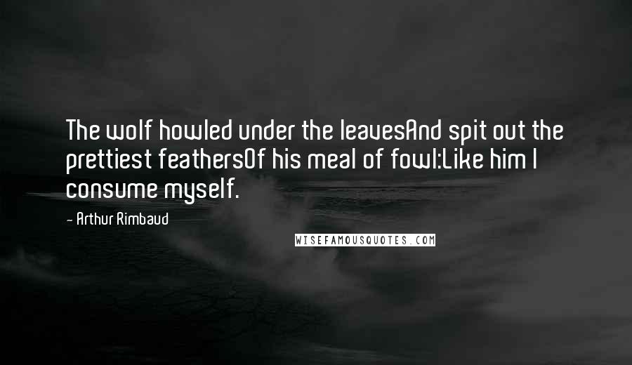 Arthur Rimbaud Quotes: The wolf howled under the leavesAnd spit out the prettiest feathersOf his meal of fowl:Like him I consume myself.