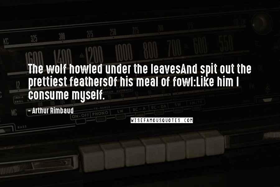 Arthur Rimbaud Quotes: The wolf howled under the leavesAnd spit out the prettiest feathersOf his meal of fowl:Like him I consume myself.