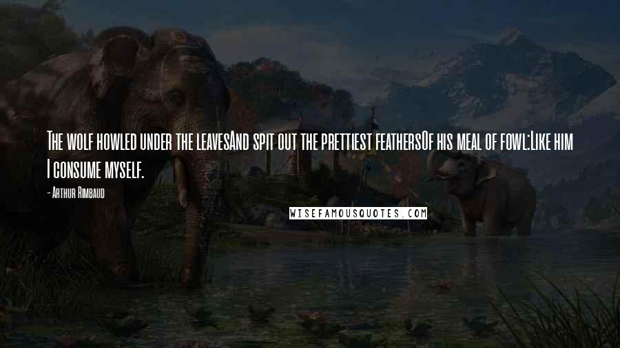 Arthur Rimbaud Quotes: The wolf howled under the leavesAnd spit out the prettiest feathersOf his meal of fowl:Like him I consume myself.