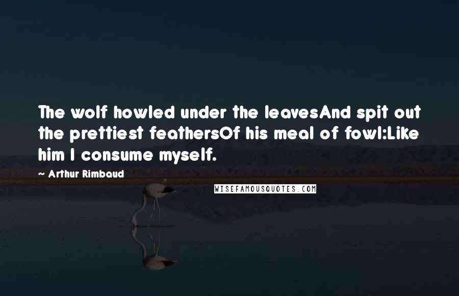 Arthur Rimbaud Quotes: The wolf howled under the leavesAnd spit out the prettiest feathersOf his meal of fowl:Like him I consume myself.