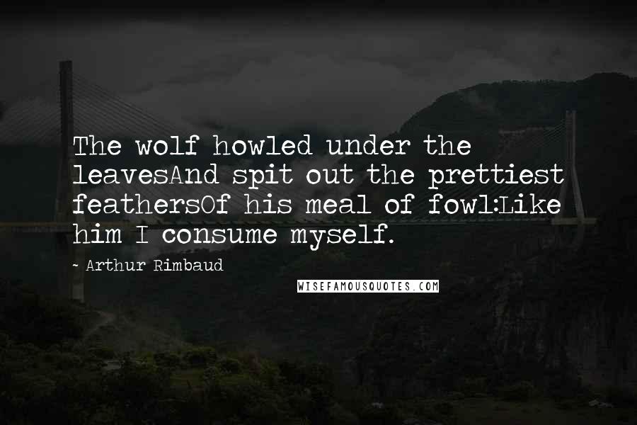 Arthur Rimbaud Quotes: The wolf howled under the leavesAnd spit out the prettiest feathersOf his meal of fowl:Like him I consume myself.