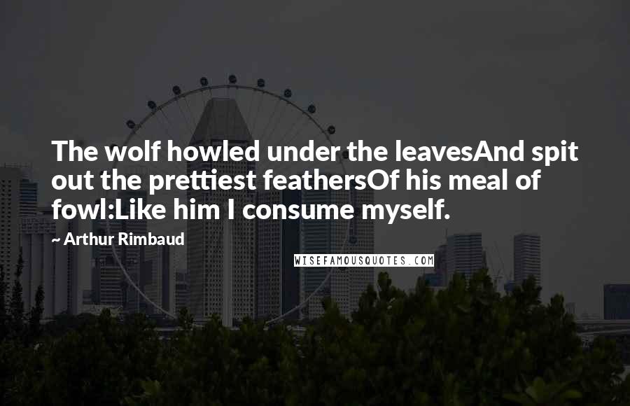 Arthur Rimbaud Quotes: The wolf howled under the leavesAnd spit out the prettiest feathersOf his meal of fowl:Like him I consume myself.