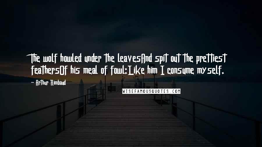 Arthur Rimbaud Quotes: The wolf howled under the leavesAnd spit out the prettiest feathersOf his meal of fowl:Like him I consume myself.