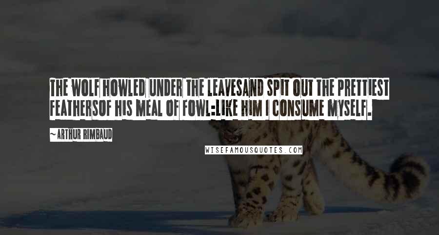 Arthur Rimbaud Quotes: The wolf howled under the leavesAnd spit out the prettiest feathersOf his meal of fowl:Like him I consume myself.