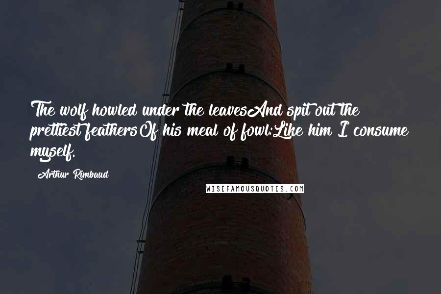 Arthur Rimbaud Quotes: The wolf howled under the leavesAnd spit out the prettiest feathersOf his meal of fowl:Like him I consume myself.