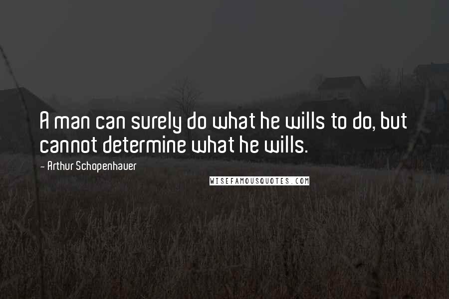 Arthur Schopenhauer Quotes: A man can surely do what he wills to do, but cannot determine what he wills.
