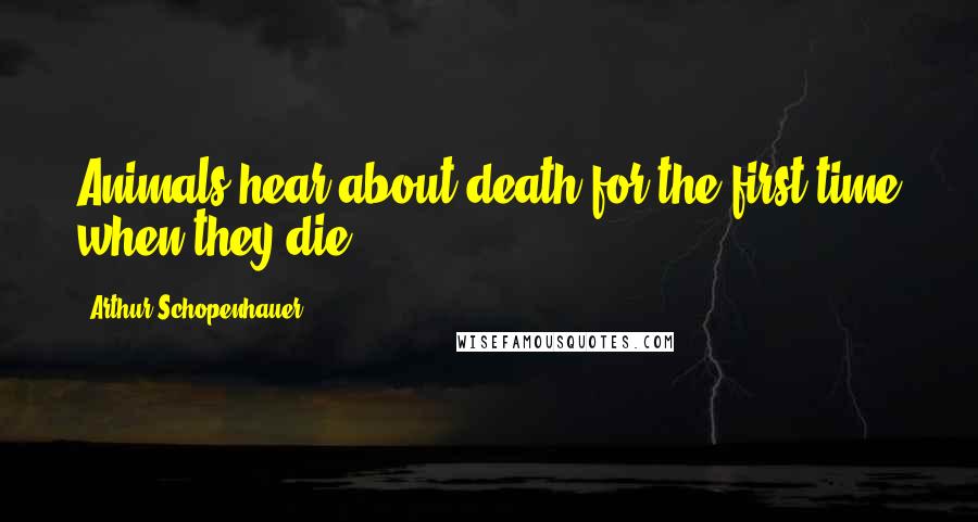 Arthur Schopenhauer Quotes: Animals hear about death for the first time when they die.