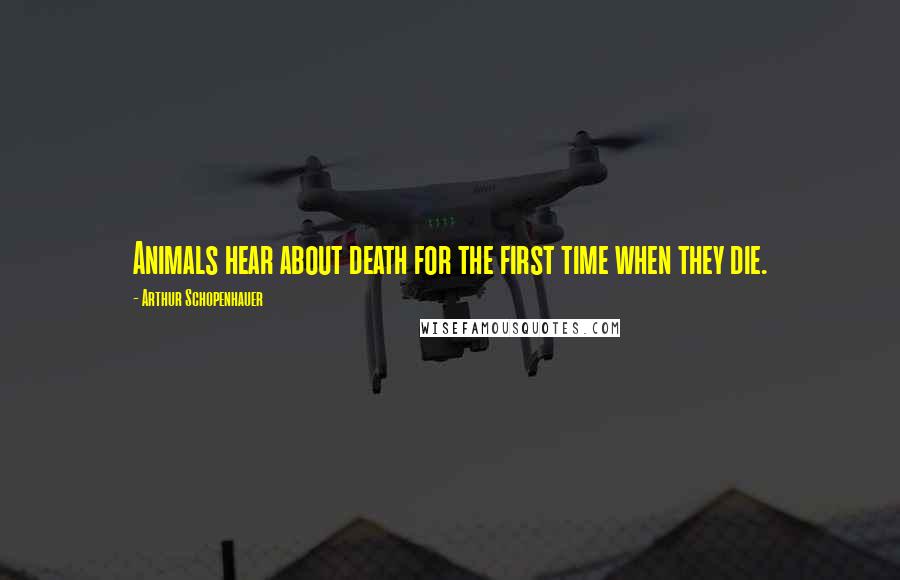 Arthur Schopenhauer Quotes: Animals hear about death for the first time when they die.