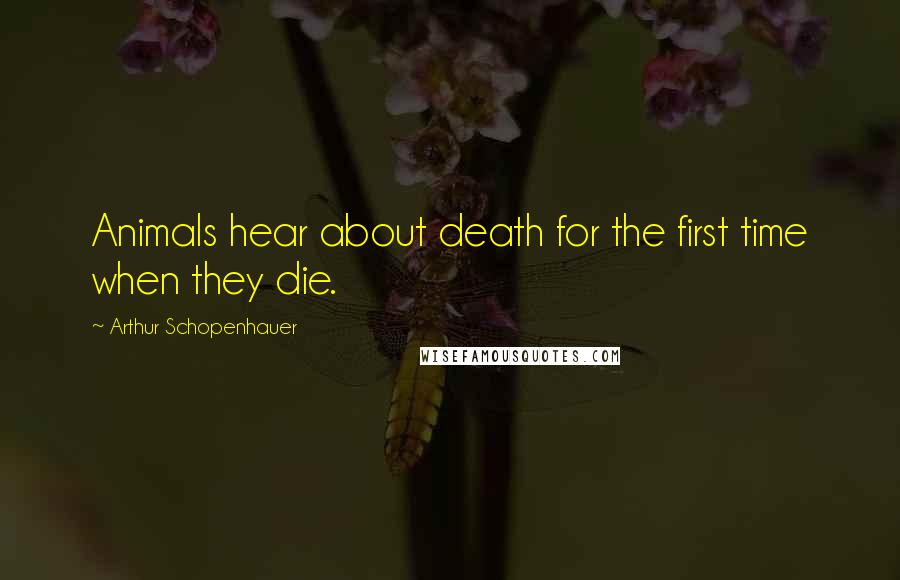 Arthur Schopenhauer Quotes: Animals hear about death for the first time when they die.