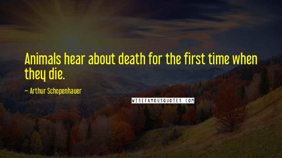 Arthur Schopenhauer Quotes: Animals hear about death for the first time when they die.