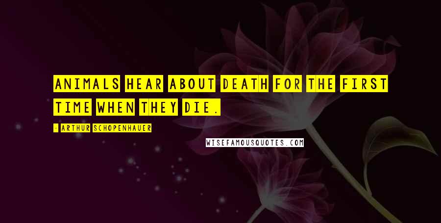 Arthur Schopenhauer Quotes: Animals hear about death for the first time when they die.