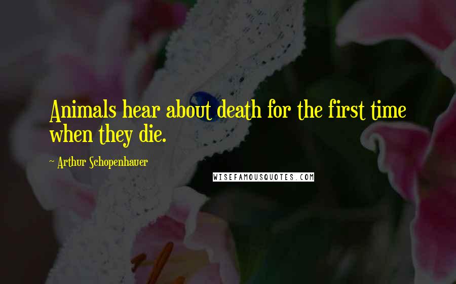 Arthur Schopenhauer Quotes: Animals hear about death for the first time when they die.