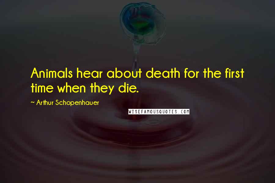 Arthur Schopenhauer Quotes: Animals hear about death for the first time when they die.