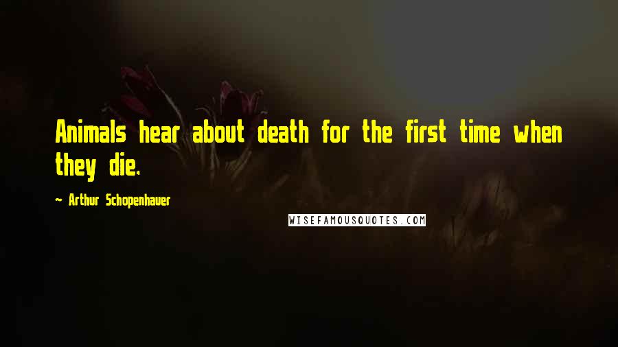 Arthur Schopenhauer Quotes: Animals hear about death for the first time when they die.
