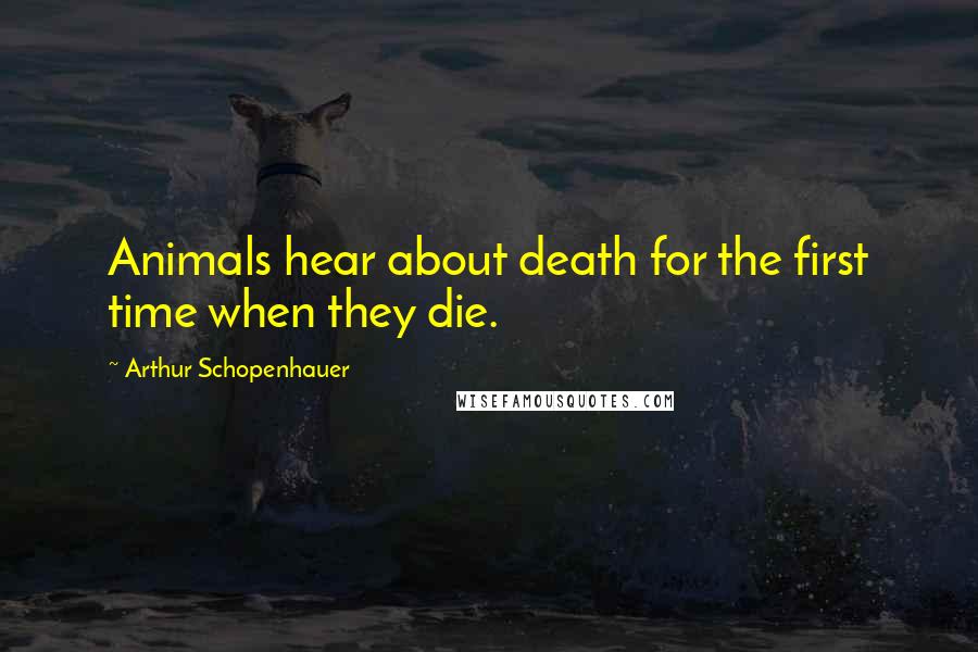 Arthur Schopenhauer Quotes: Animals hear about death for the first time when they die.