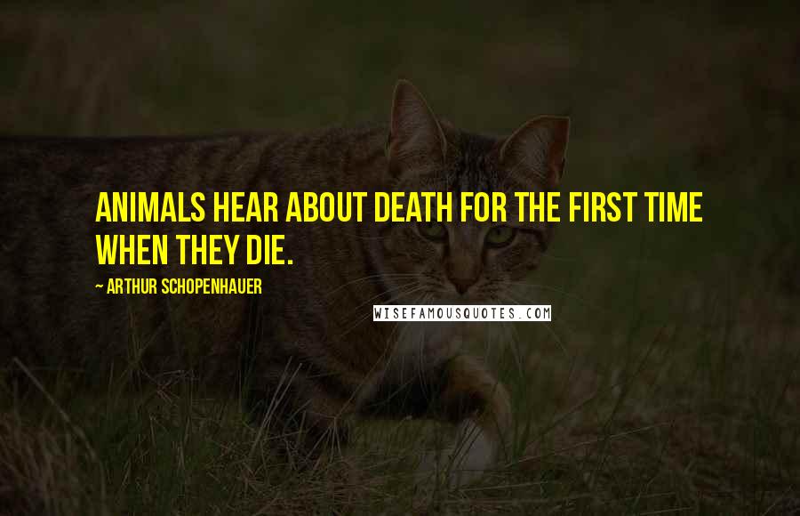 Arthur Schopenhauer Quotes: Animals hear about death for the first time when they die.