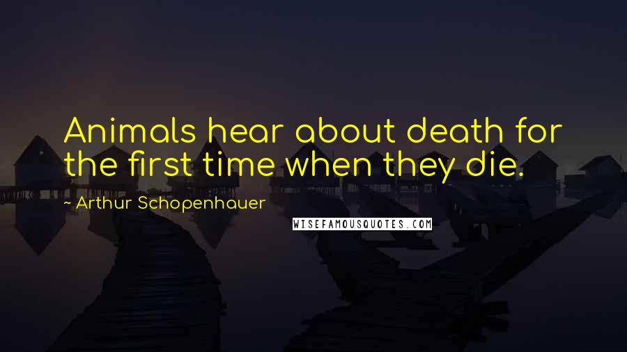 Arthur Schopenhauer Quotes: Animals hear about death for the first time when they die.
